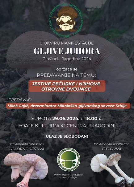 Гљиве Јухора 2024 - фотографија 20